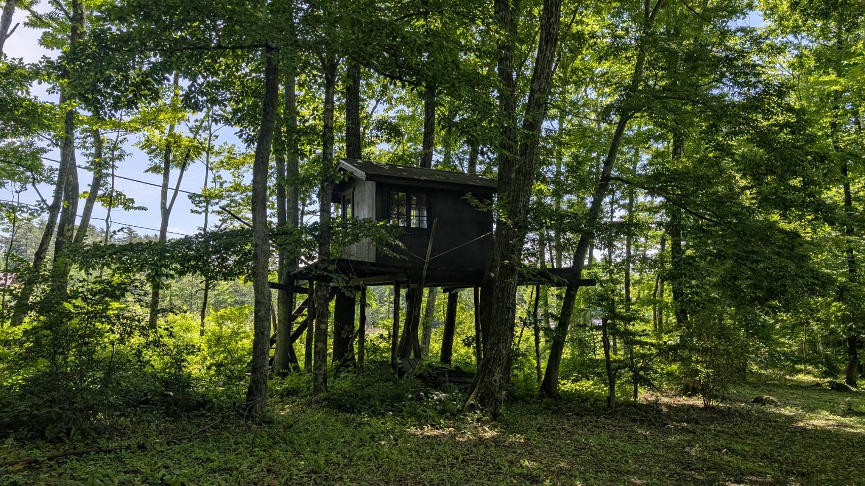 Yatsugatake Grove Cafe