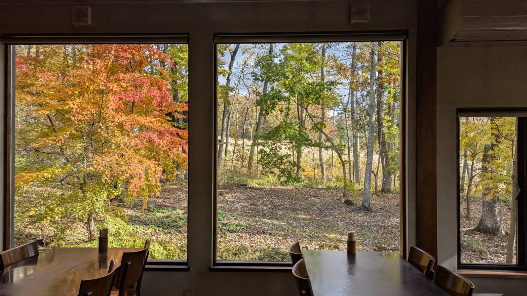 Yatsugatake Grove Cafe